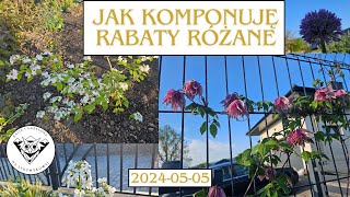 Jak komponuję rabaty różane