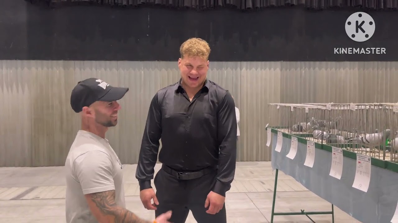 Wystawa ogólnopolska gołębi pocztowych 2026 Katowice 