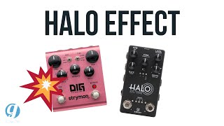 Strymon DIG VS Keeley Halo Delay Pedal TONE Comparison (NO Talking) #guitarpedals #delaypedal