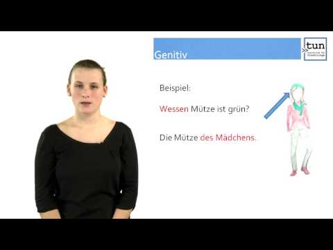 Die Fälle im Überblick