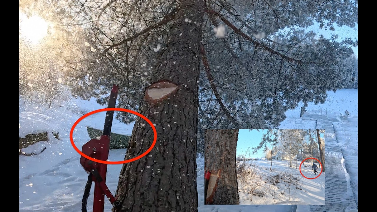 Jääkö vene ja asiakas alle? Pro Finnish Lumberjack And Husqvarna 572 xp Chainsaw.