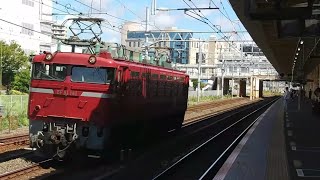 【E231系1000番台AT入場配給牽引機送り込み】EF81-141号機単回辻堂駅高速通過