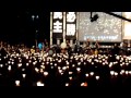 自由花 2012 1 自由花 2012 1