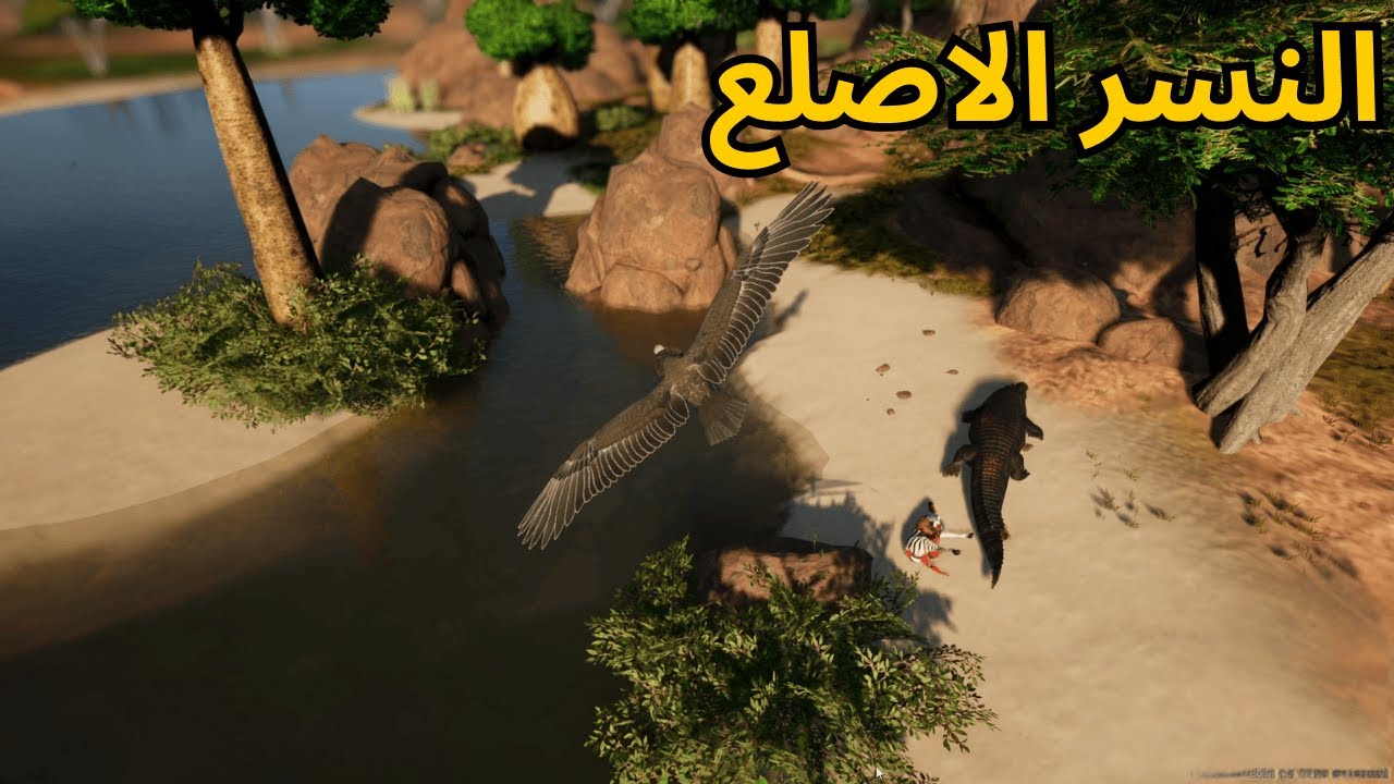 انميليا سيرفايفل #12 جربت اطير لأول مرة في اللعبة 🦅🔥 - Animalia Survival