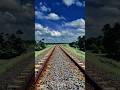 capcut video collection / sri lanka now video victim is effect edition setap video