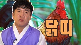 (26년차무당) 2019년 기해년 신년운세 닭띠~! [점점tv]
