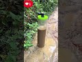 🤪🤪🤪mud water ko clean Kia 1 minute main 😱😱😳