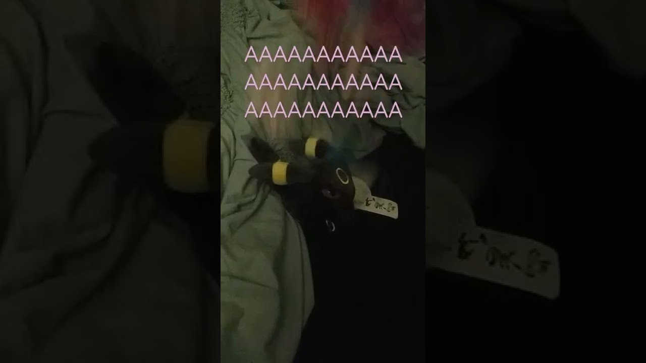 Poképlush friends: Don't mess with Sylveon's bow collection