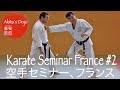 #2 Karate Basics - Shotokan Seminar in Grenoble, SKAI France【Akita's Karate Video】