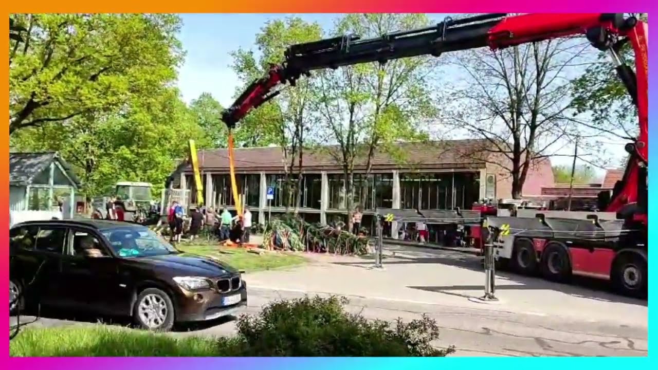 Deutschland. Schwäbisch Hall. Maibaum   2024 🌲🎷
