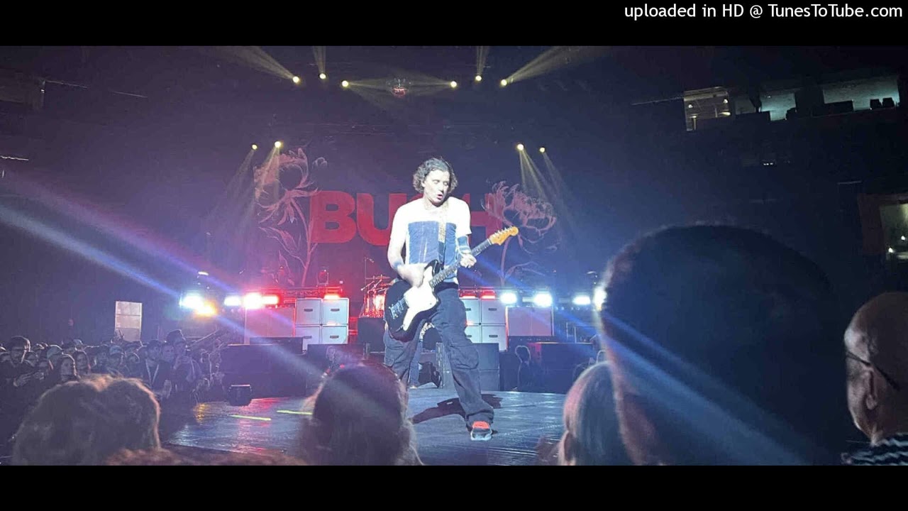 Bush 2025-08-30 - Machinehead