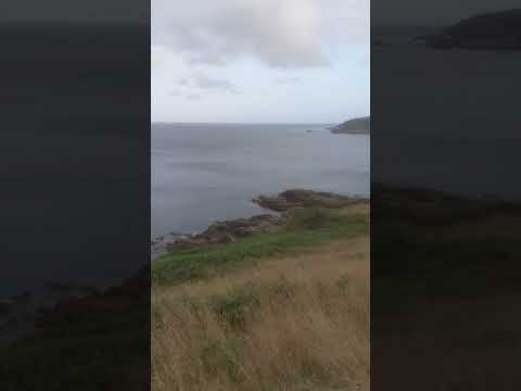 View near Nare Head, Cornwall