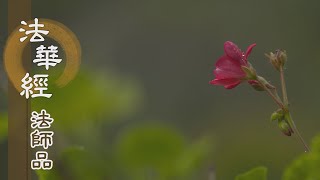 【靜思妙蓮華】法華經法師品 - 總記三乘 廣收五教 - 20220921 第1246集