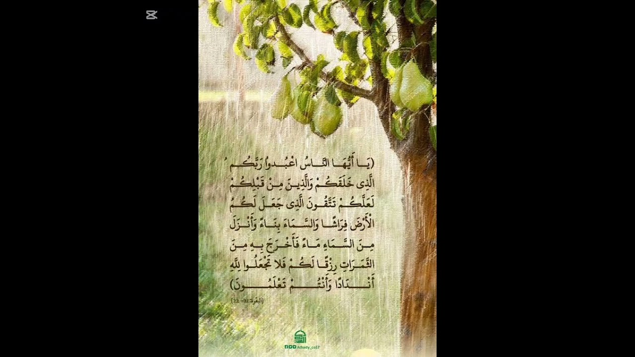 کسی بھی بزرگ کو 