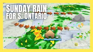 Soaked parts of southern Ontario brace for more rain Sunday | #forecast