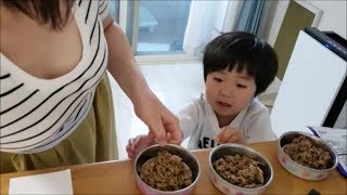 ４歳児に猫のゴハンあげを教えよう！　(米、米じゃー)