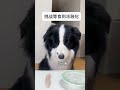 The self-discipline blogger and Dian waited together until the ice cubes melted#Pet Confus