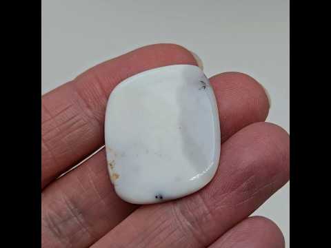 Дендроопал - кабошон 21,5 ct, видео 1