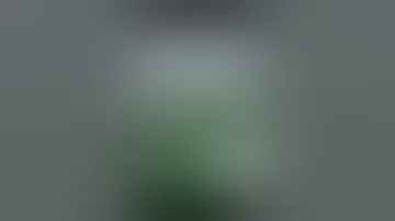 کوس اے کزا کشمیر کا موسم 