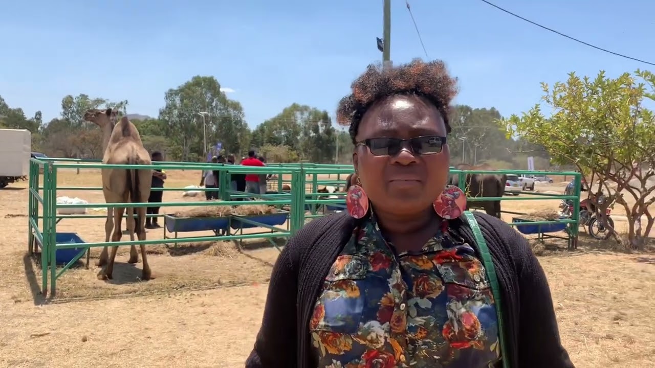 VIVUTIO VYA UTALII VINAVYOIBEBA MBINGA