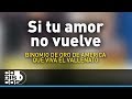 Si Tu Amor No Vuelve, Binomio De Oro De América - Audio