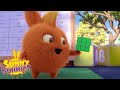SUNNY BUNNIES - Solving the Cube | Season 4 | Cartoons for Children