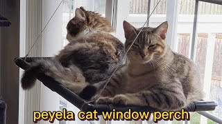 peyela cat window perch installation guide