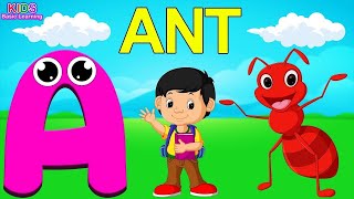 A to Z Learning Videos For Toddlers | Alphabets  Videos For Kids | Basic Learning For 3 Year Olds