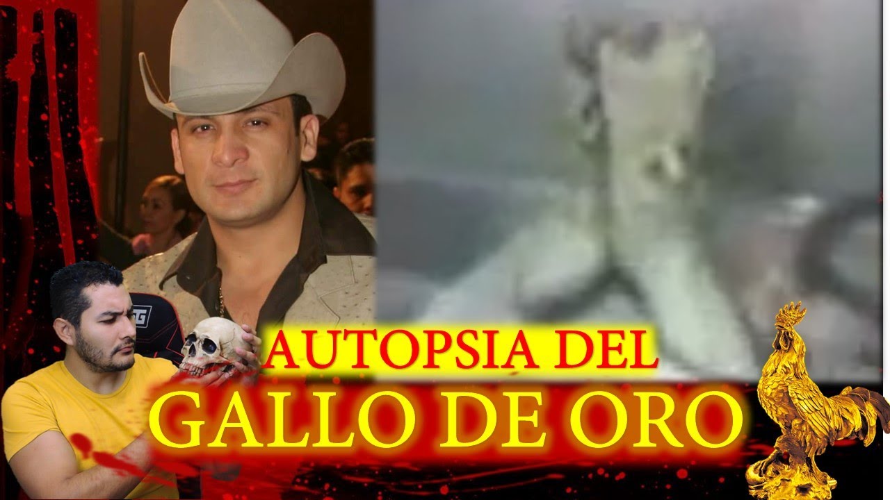 valentin elizalde autopsy how to discuss