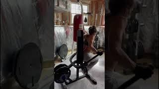 TITAN PLATE LOADABLE SEATED DIP MACHINE