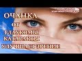 КАК УЛУЧШИТЬ ЗРЕНИЕ .ОЧАНКОЙ- ЛЕЧИМ КАТАРАКТУ,ГЛАУКОМУ,КОНЬЮКТИВИТ , 9  НАРОДНЫХ РЕЦЕПТ