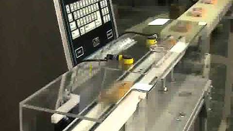 TSC 350 with Diverter Reject | Thompson Scale