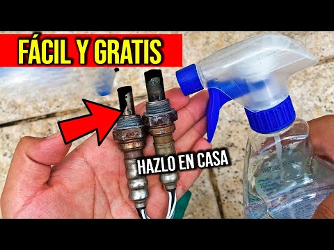 Cómo LIMPIAR El