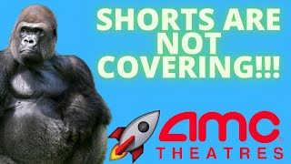 NO AMC SHORTS ARE COVERING!! - 4.1 MILLION SHAREHOLDERS!!! - (Amc Stock Analysis)