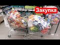 Закупка продуктов на неделю на 2813 гривен 103$. Акции и цены в магазине VARUS Киев