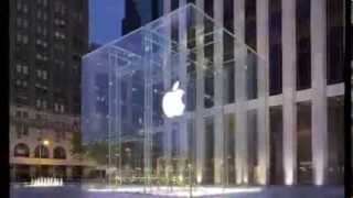 Fan Yang on China s Fake Apple Store