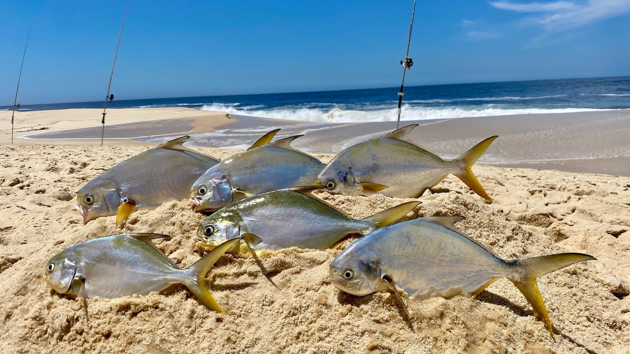 Uma Simples Estratégia e Pegamos Muitos Peixes na Pescaria de Praia.