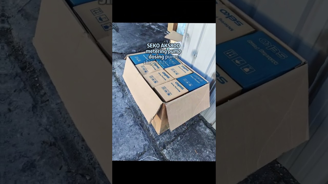 SEKO AKS800 metering pump dosing pump shipped to Beijing