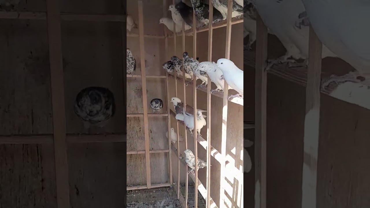 ۱۱ اکتبر ۲۰۲۵