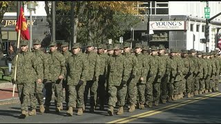 Springfield parade honors local veterans