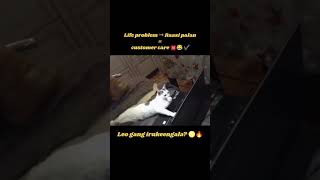 Leo gang irukeengala? ♌🔥 #unemployment #reletable #leo #leogang #simmarasi #shorts #funny #bowling