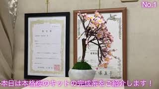 春よ来い！ソメイヨシノ桜！NO1