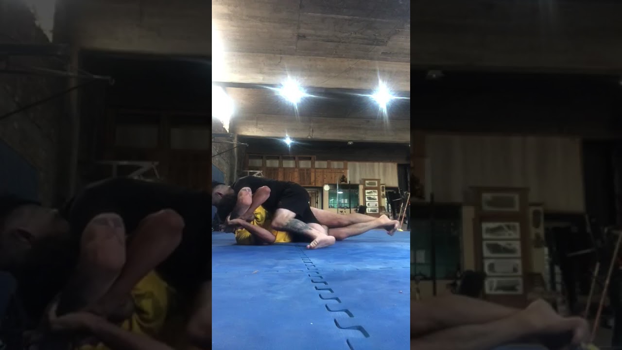Rolas entrenamiento BJJ Jiu Jitsu faixa violeta vs faixa blanco (atras marron vs azul)