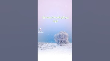 تلاوة عذبة  الشيخ عادل ريان