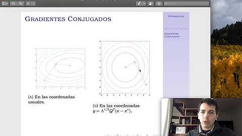 Optimización - Práctica 2 - Gradientes Conjugados - Parte 1