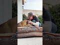 Stray Dog Begging For Love Gets Adopted By Family of Lookalikes | The Dodo