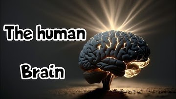 The Humans Brain ! The most complex structure in the known universe