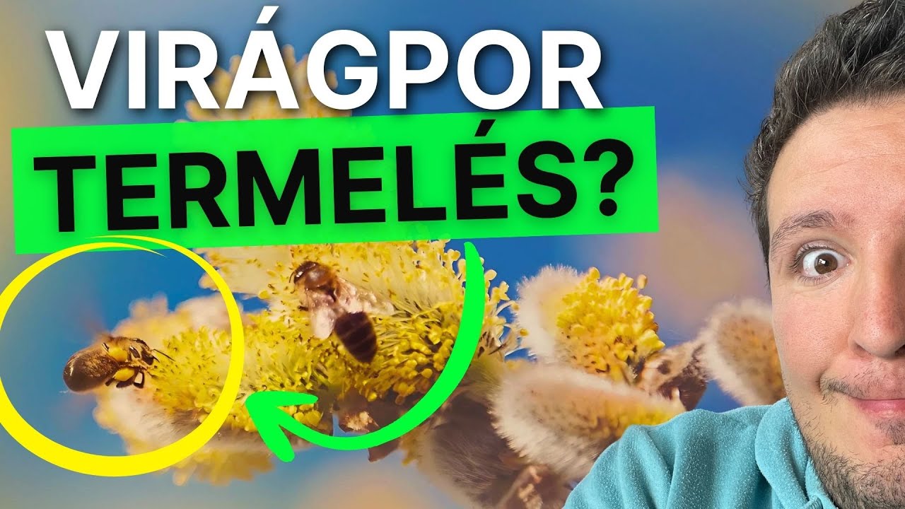 Fehérjés Lepények a Virágportermelő Méhészetben