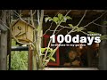 Japanese Tit Nesthouse ~Build To Fledge~