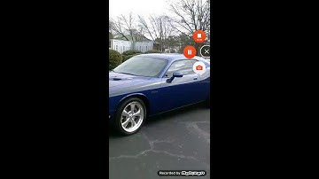 Applying Prisma Filters - 🛑AppyGEN App Course 6.1 - How To Make💰Money Creating Apps -